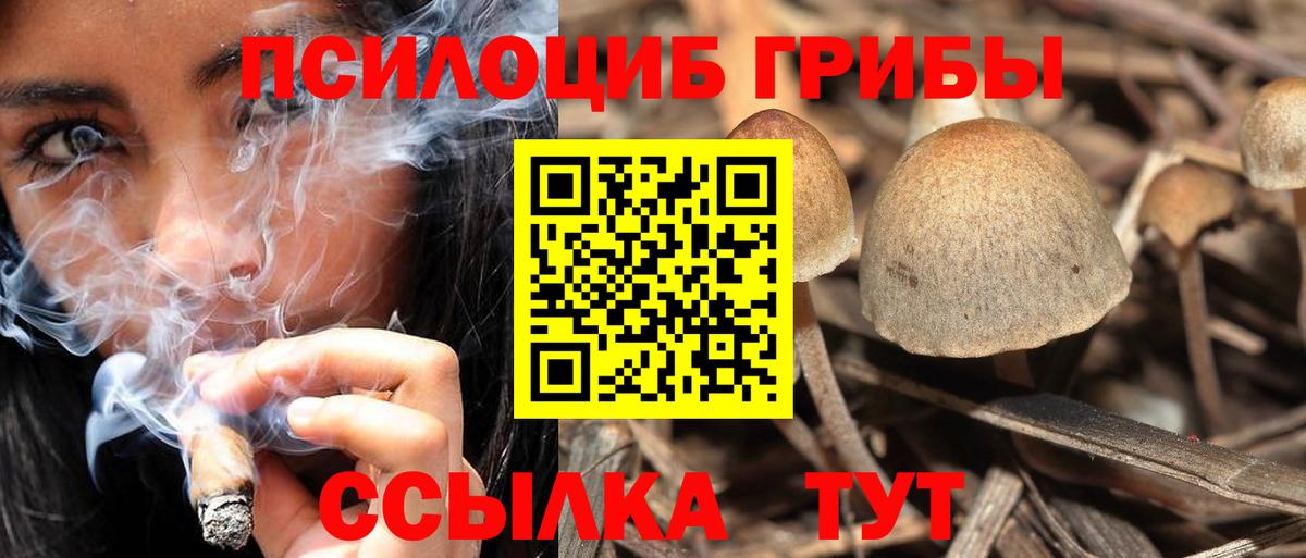 Галлюциногенные грибы Psilocybine cubensis Краснокамск