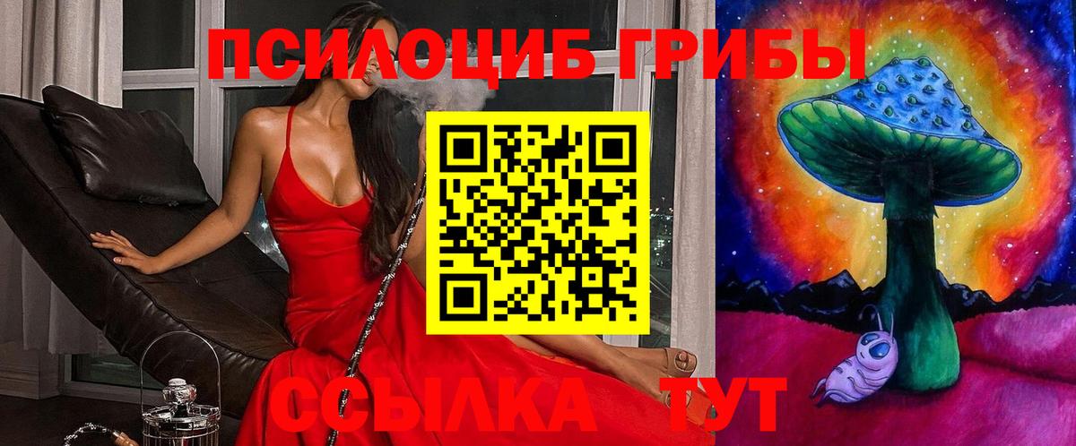 Псилоцибиновые грибы GOLDEN TEACHER  Галлюциногенные грибы мухоморы  Краснокамск  Вход с VPN 